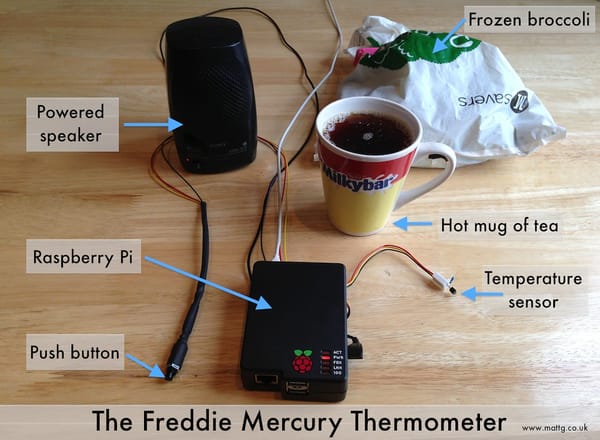 The Freddie Mercury Thermometer